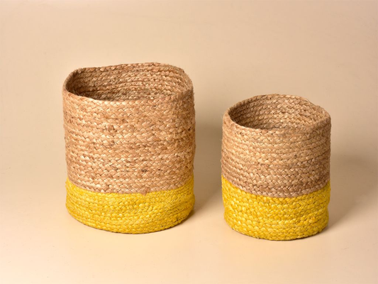 ce86d6ac-6b18-453e-a1a0-d9ae6ff8b071_8146d4d6-ba0d-4c5a-9c34-a2deb9b71666-4x